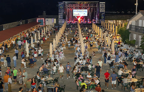Festival, fiesta del vino en Salvaterra de Mi�o